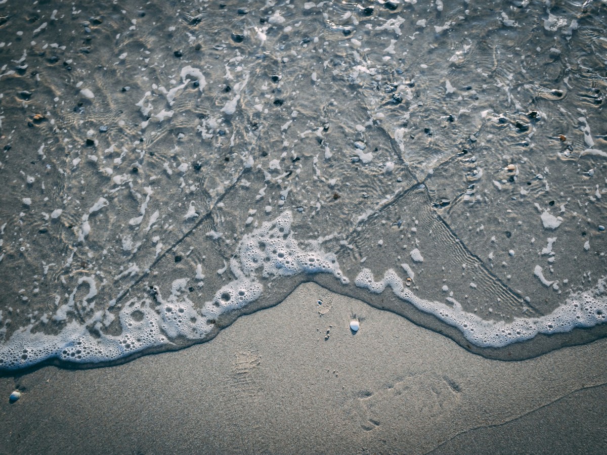 The Science Behind Nature’s Healing&nbsp;Benefits